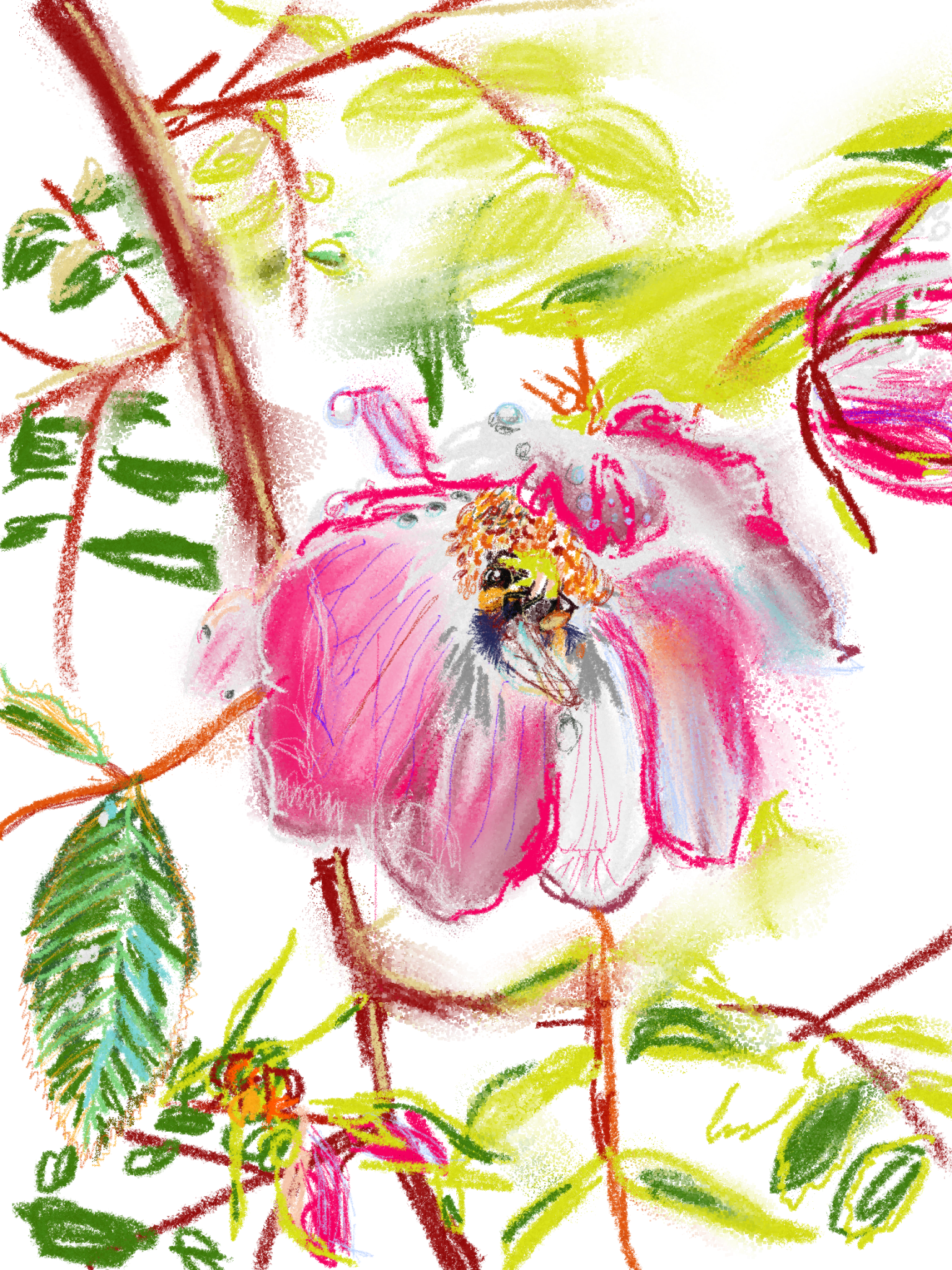 Bee on a rose
