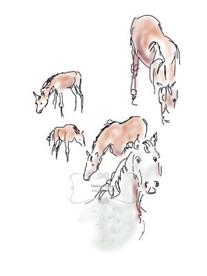 Copy of an original iPad drawing by artist Helen Imogen Field created live. Horses