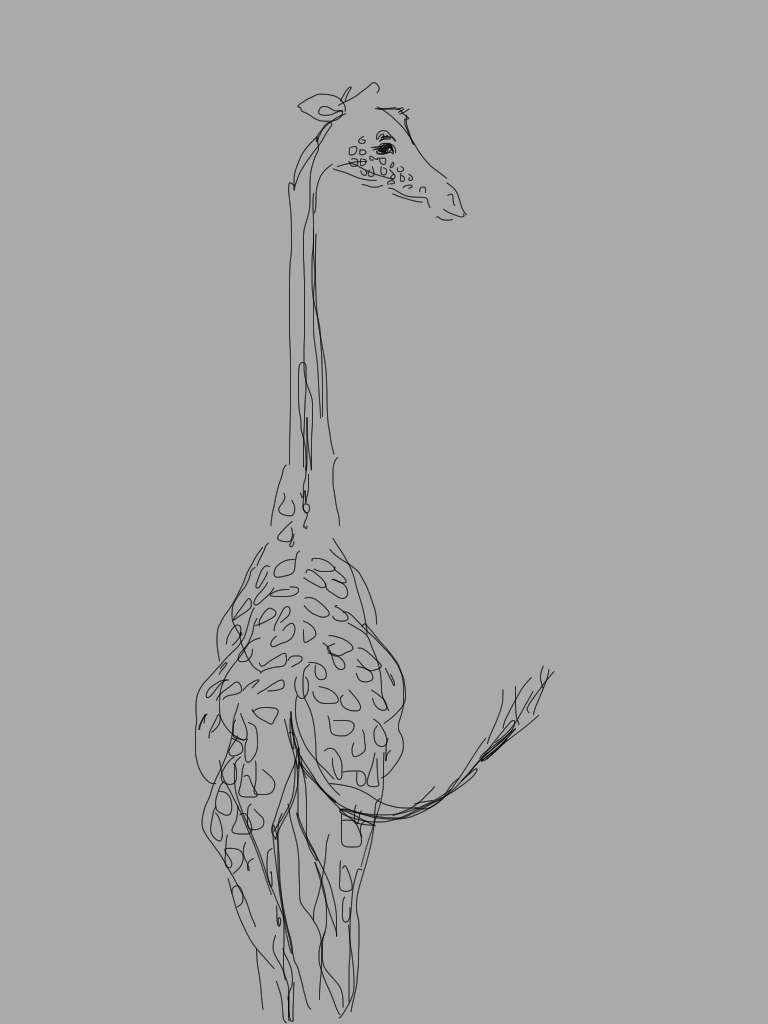 Giraffe from the back