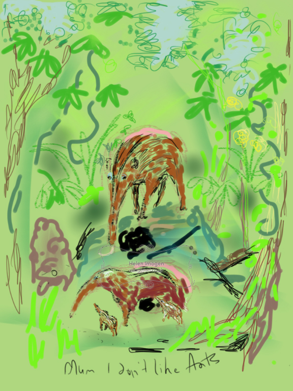 Copy of an original iPad drawing by artist Helen Imogen Field created live. Anteater