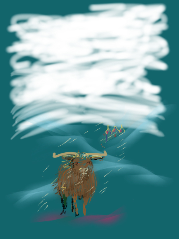 Copy of an original iPad drawing by artist Helen Imogen Field created live. Yak