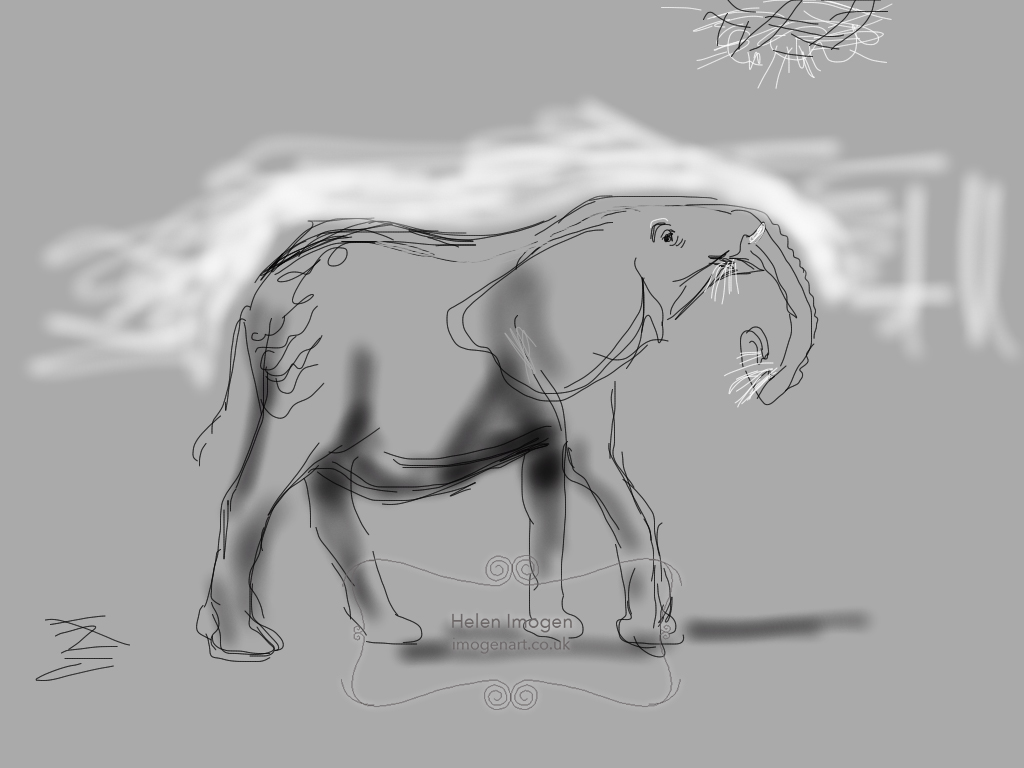Copy of an original iPad drawing by artist Helen Imogen Field created live. Elephant at Noah's ark Farm Zoo