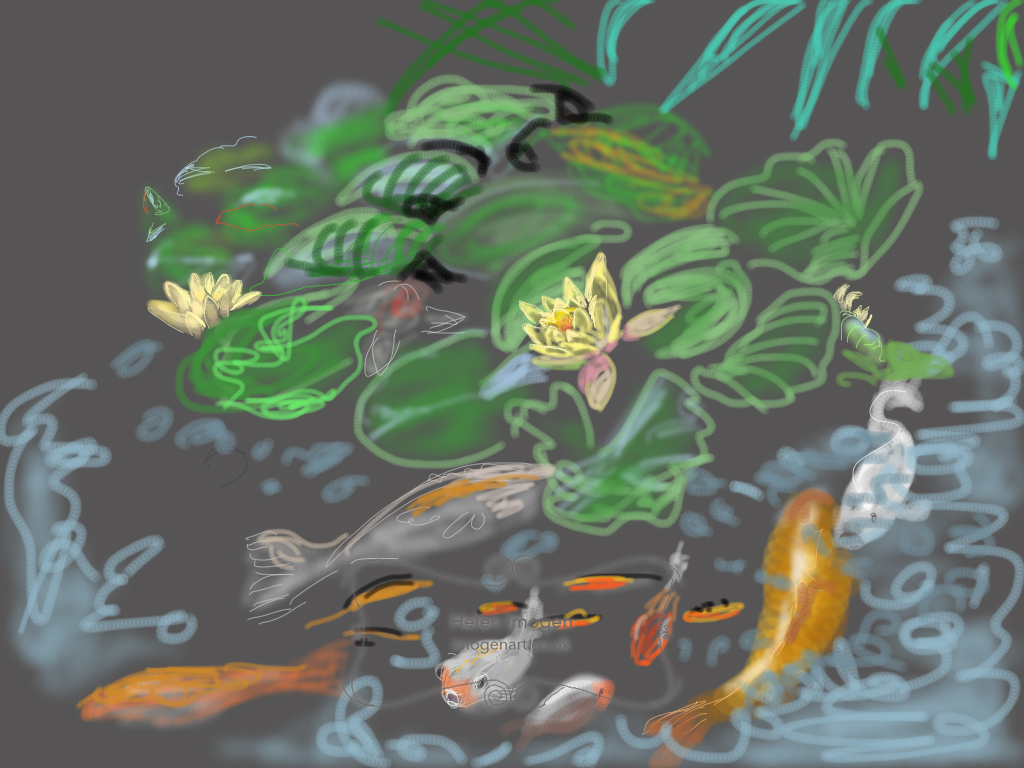 Copy of an original iPad drawing by artist Helen Imogen Field created live. Koi with waterlilies