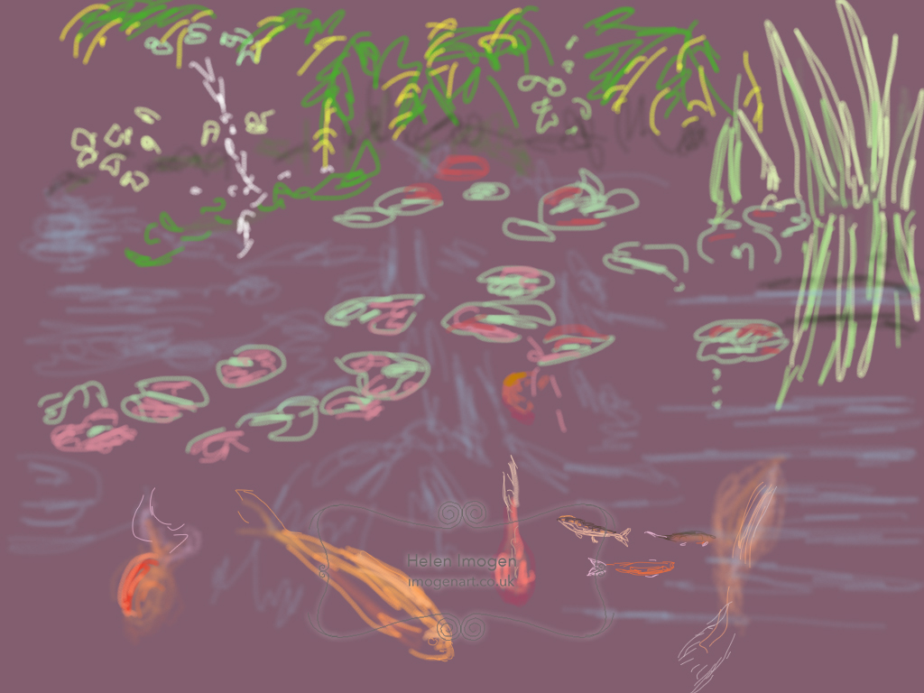 Copy of an original iPad drawing by artist Helen Imogen Field created live. More goldfish