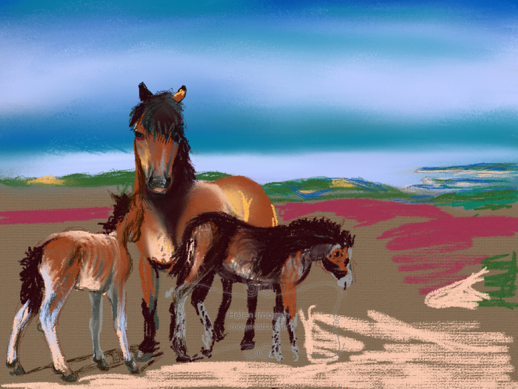 Copy of an original iPad drawing by artist Helen Imogen Field created live. Coast of Wales from Exmoor with ponies