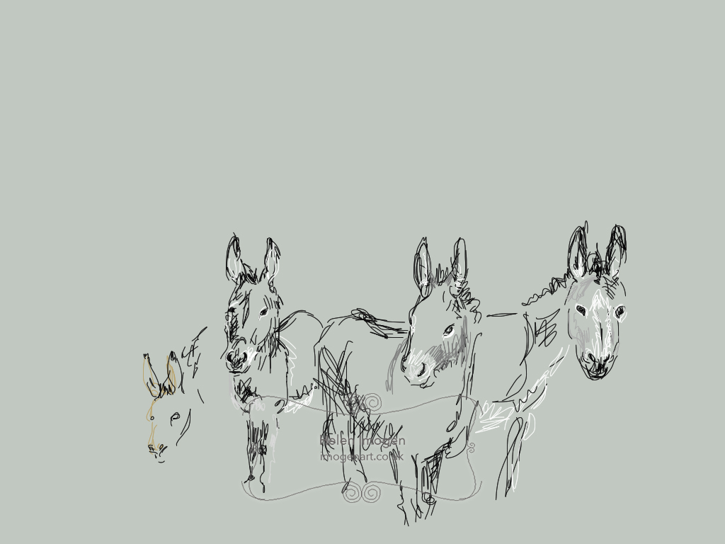 Prize donkeys